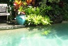 Lienaswimming-pool-landscaping-3.jpg; ?>